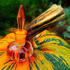 Alchimie (Eau de Parfum) - Rochas