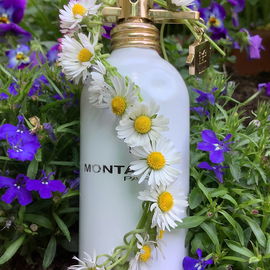 Sunset Flowers - Montale