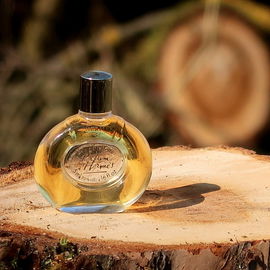 Parfum d'Hermès (Eau de Toilette) - Hermès