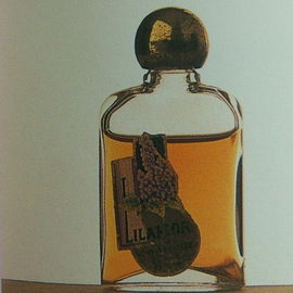 Lilaflor - J.F. Schwarzlose Berlin