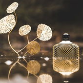 Allen Parfumos einen guten Rutsch ins neue Jahr und bleibt alle gesund. Und natürlich vielen Dank für Eure Kommentare. (by ChopIsland)