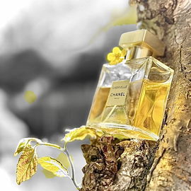 Gabrielle Chanel Essence