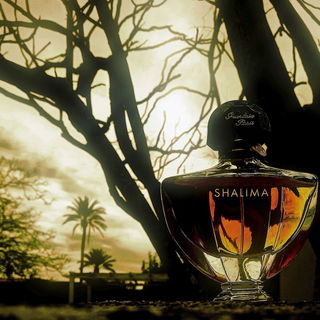 Shalimar (Eau de Parfum) von Guerlain