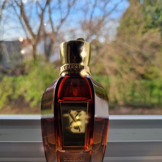 Indochine by Xerjoff