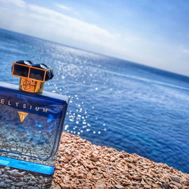 1 - Bergamot, Tea Leaf, Sandal Wood - Rosendo Mateu - Olfactive Expressions