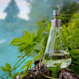 shi_sõ - Nomenclature