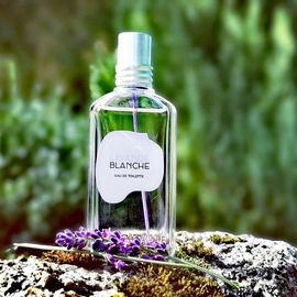 Ein kleiner Lavendelgruß, bevor sich die Herbstfarben endgültig durchsetzen. 💜 Nun kommt noch ein großes Lavendel-Dankeschön dazu! 😊🤗💜