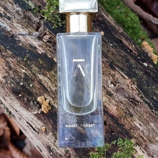 Naked Forest von Azman