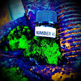 Number 41 (Eau de Parfum) - The Strange South