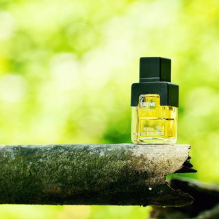 Ébène de Balmain (1983) (Eau de Toilette) - Balmain