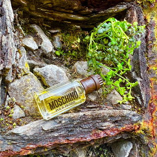 Moschino pour Homme (Eau de Toilette) - Moschino