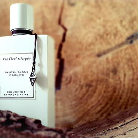 Santal Blanc - Van Cleef & Arpels