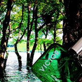 Grün aus Wasserwelten (by Camey5000)