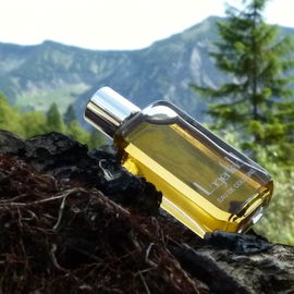 Lagerfeld Classic / Lagerfeld (1978) (Eau de Toilette) - Karl Lagerfeld
