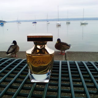 Extatic (Eau de Parfum) by Balmain