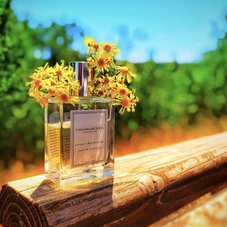 Sweet Harmony - Tromborg