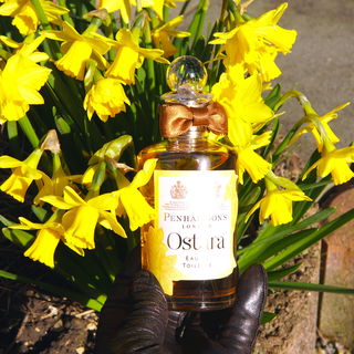 Ostara by Penhaligon's