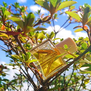 Woman Two - Jil Sander