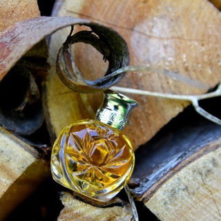 Safari (Eau de Parfum) by Ralph Lauren