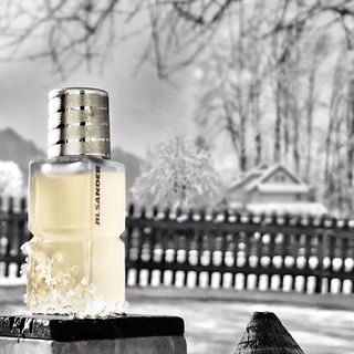 ...... Schneestille am Alpenrand .......