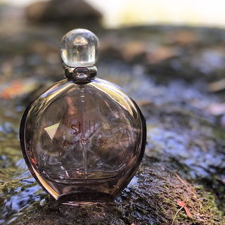 Still (Eau de Parfum) - Jennifer Lopez