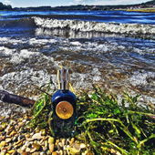 Manchmal erinnert mich der See ans blaue Meer und der Duft sowieso. (by Gandix)