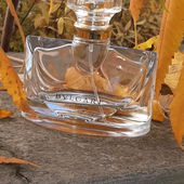 🍁🌞🥰 An einem goldenen Tag im September.  Ich wünsche Euch einen schönen Herbstanfang mit vielen goldenen Momenten, bunten Blättern und eine gute Zeit. Ich freue mich sehr über Eure Besuche und sag herzlich Danke. Lg 🌞🍁🥰 (von Kailani)