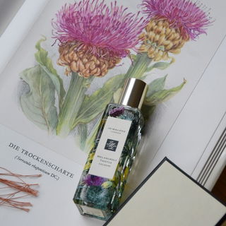 Melancholy Thistle by Jo Malone