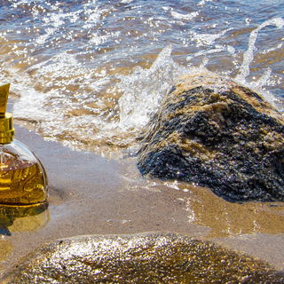 Serpentine (2005) - Roberto Cavalli