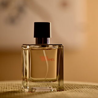 Terre d'Hermès (Eau de Toilette) by Hermès