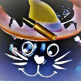 Felino - Carner