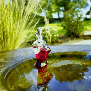 Classique (2017) (Eau de Parfum) - Jean Paul Gaultier