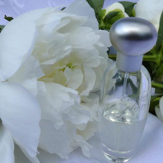 Pleasures (Eau de Parfum) by Estēe Lauder