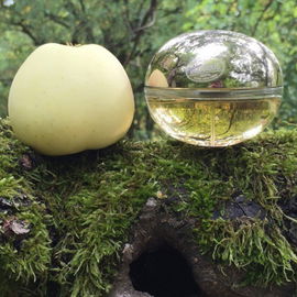 Golden Delicious (Eau de Parfum) - DKNY / Donna Karan