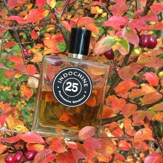 25 Indochine - Pierre Guillaume