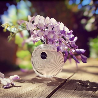 Satine (Eau de Parfum) - Lalique