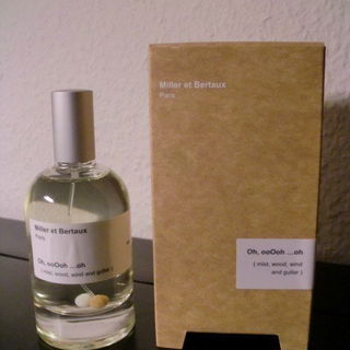 Oh, ooOoh ...oh (mist, wood, wind and guitar) von Miller et Bertaux