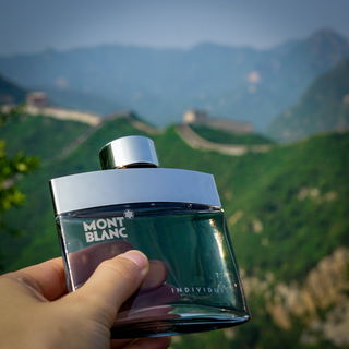 Individuel (Eau de Toilette) von Montblanc