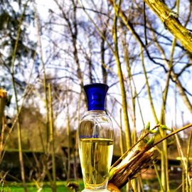 Nonchalance (Eau de Toilette) - Mäurer & Wirtz