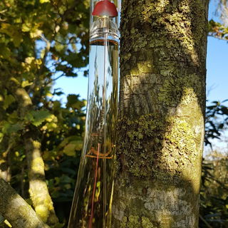 Flower by Kenzo Eau de Lumière - Kenzo