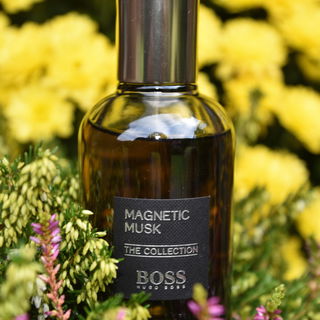 Magnetic Musk von Hugo Boss