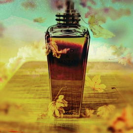 Oud & Santal (Parfum) - Cartier