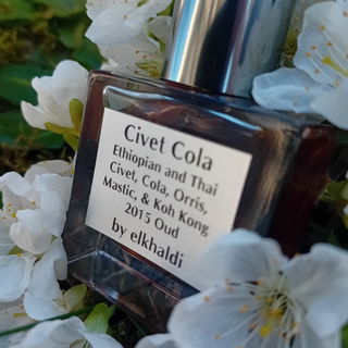 Civet Cola - elkhaldi