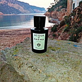 Colonia Essenza de  Acqua Di Parma . www.perfumeriabenegas.com