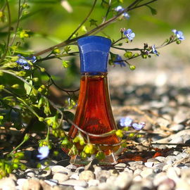 Mal sanft wie kleine Blüten, mal stark wie Stein, da steckt so einiges drin. Ein Duft seiner Zeit.
