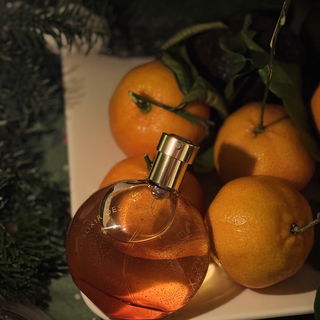 Elixir des Merveilles von Hermès