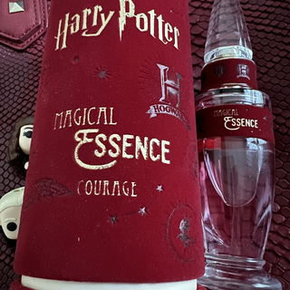 Courage von Harry Potter