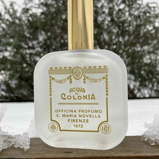 Muschio - Santa Maria Novella