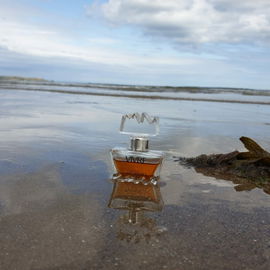 The Irish Sea