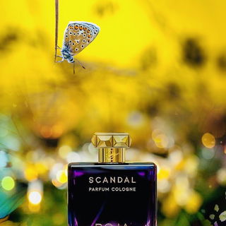 Scandal Parfum Cologne - Roja Parfums